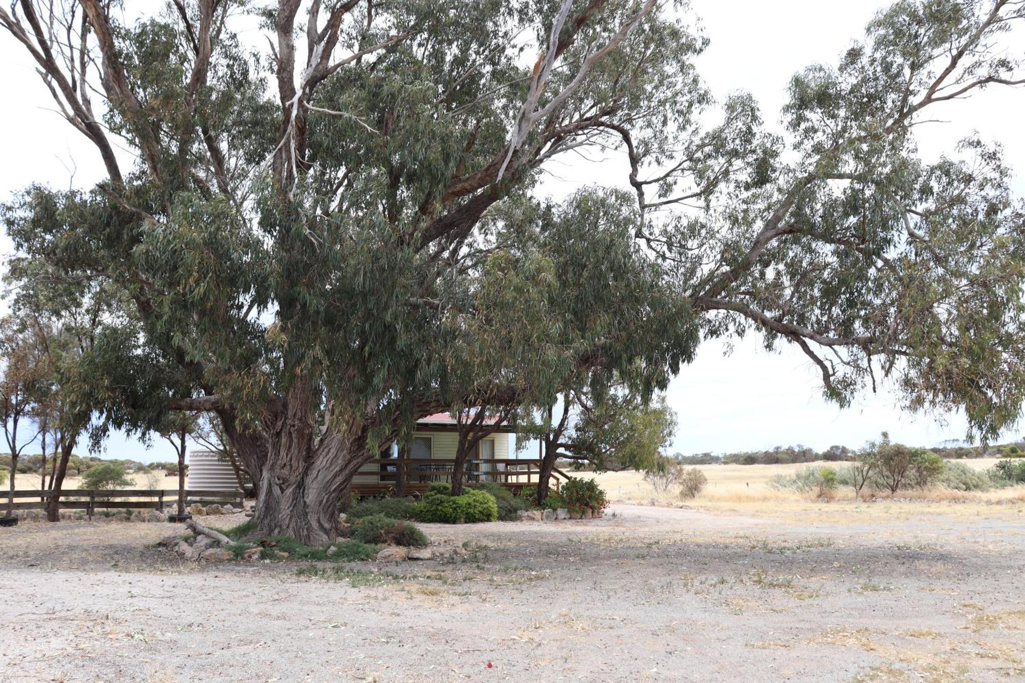 Coodlie Park Eco Retreat Villa Talia Exterior foto